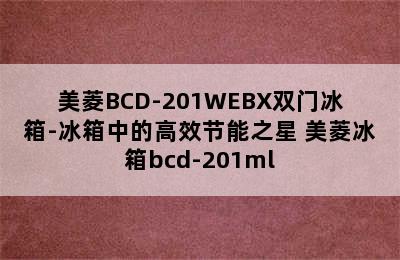 美菱BCD-201WEBX双门冰箱-冰箱中的高效节能之星 美菱冰箱bcd-201ml